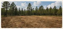 A dirt field with trees in the background.